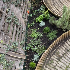 Afbeeldingslocatie: https://tweakers.net/i/VFoHJMr3vSSzAWons2hv5eCZXSg=/232x232/filters:strip_icc():strip_exif()/f/image/v9cFBYsvJDGC7qCBC4ZXF1w2.jpg?f=fotoalbum_tile