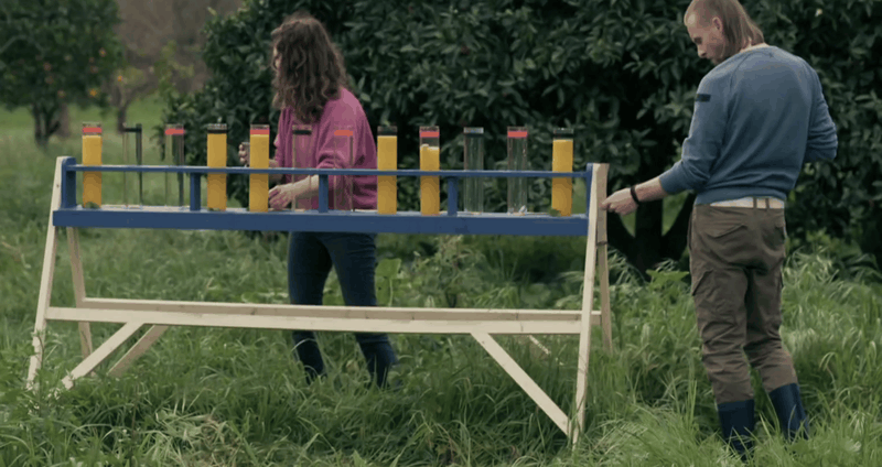 Afbeeldingslocatie: https://tweakers.net/i/VGYr1ilhLibKc2tCdwG6gs_VIG8=/800x/filters:strip_exif()/f/image/fhJPftO3XdukuGp8f13b30lb.png?f=fotoalbum_large