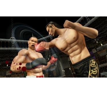 Yakuza: New Chapter Black Panther