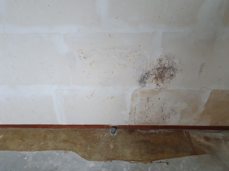 Afbeeldingslocatie: https://tweakers.net/i/VJ8AiDn-ucONl2jXd4SMA-2F-m8=/800x/filters:strip_icc():strip_exif()/f/image/6ypCcg5gSkhBMh5dnruLTGho.jpg?f=fotoalbum_large