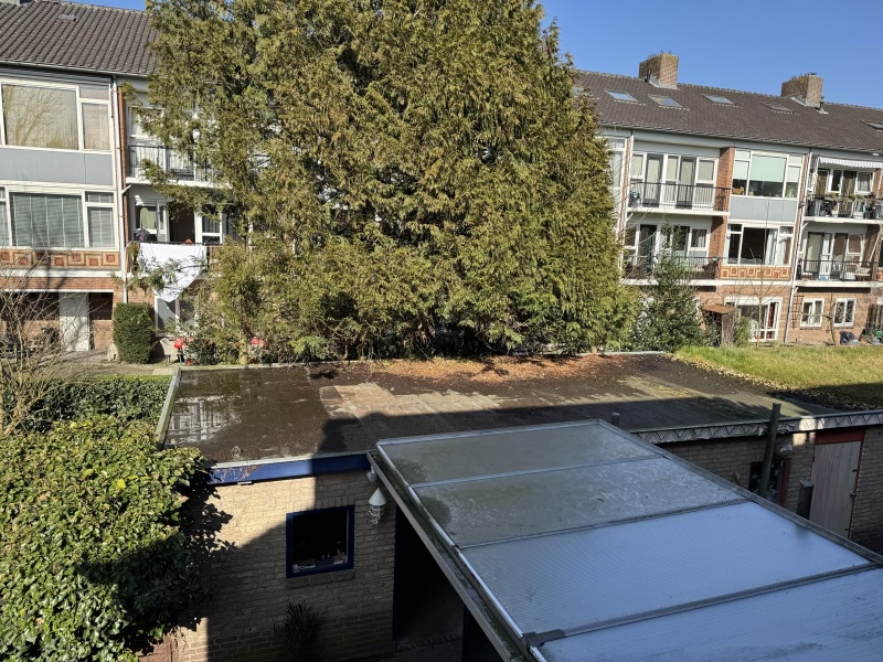 Afbeeldingslocatie: https://tweakers.net/i/VJk0ro_9gV6wYQ08JCWC08GakH4=/800x/filters:strip_icc():strip_exif()/f/image/0Bt6FZatDqe87RYEoihQNxNN.jpg?f=fotoalbum_large