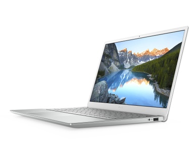 Dell 5391