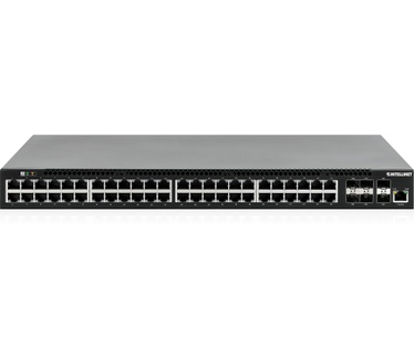 Intellinet 562041