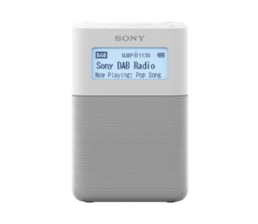 Sony XDR-V20D
