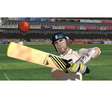 Ashes - Cricket 2009, PC