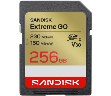 Sandisk Extreme GO