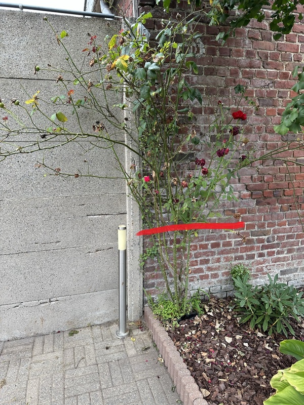 Afbeeldingslocatie: https://tweakers.net/i/VRVGDOW8np5fC49rvx7OZjK7KFE=/x800/filters:strip_icc():strip_exif()/f/image/7wm6BLEsDebWCHy7tnL0KFLz.jpg?f=fotoalbum_large
