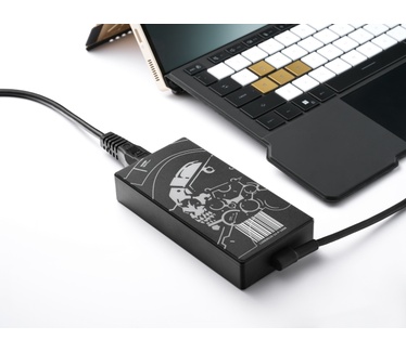 ASUS GZ302EAC-RU178W