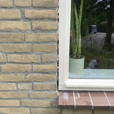 Afbeeldingslocatie: https://tweakers.net/i/VUmKSCT2900o7fbqspwt5Z2xli4=/232x232/filters:strip_icc():strip_exif()/f/image/Cr6gf3xMMklxlaJqy2QTjEV0.jpg?f=fotoalbum_tile