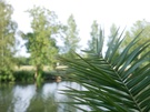 Panasonic G7 daglicht