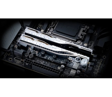 G.Skill F5-6000J2836G32GX2-TR5NS