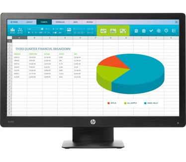 HP ProDisplay P203 20-inch monitor Zwart