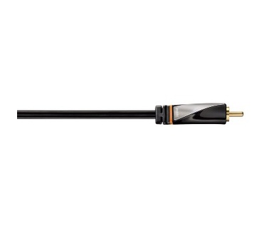 Avinity 3m RCA