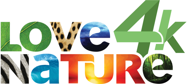 Love Nature 4k
