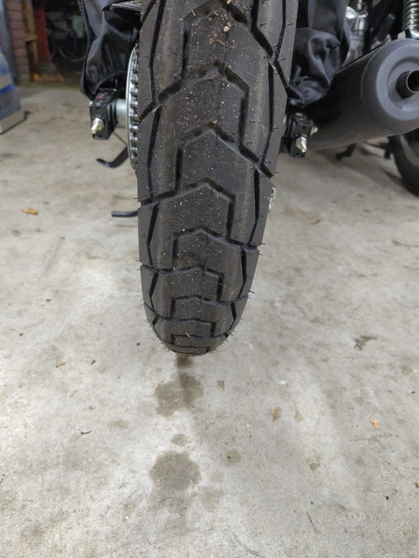 Afbeeldingslocatie: https://tweakers.net/i/VacqKx9PxHw0WSowPH7TCG-gIuM=/x800/filters:strip_icc():strip_exif()/f/image/0Fv4lKHtiptAkN2P6qmmtszQ.jpg?f=fotoalbum_large