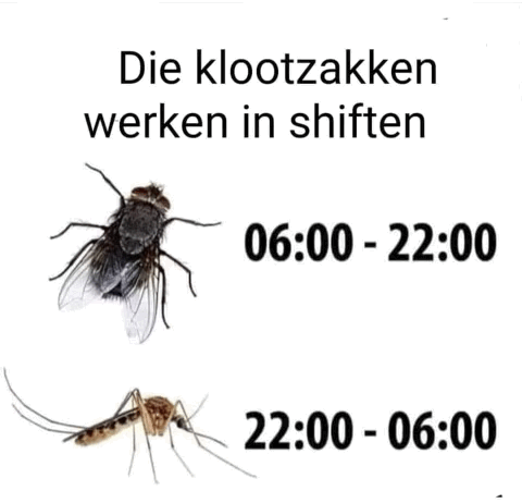 Afbeeldingslocatie: https://tweakers.net/i/Vcga9Q0nBaEWeaWxBrEJyihJz7w=/full-fit-in/4000x4000/filters:no_upscale():fill(white):gifsicle():strip_exif()/f/image/eGUixylVDvWmyUYdDVaRCq42.gif?f=user_large