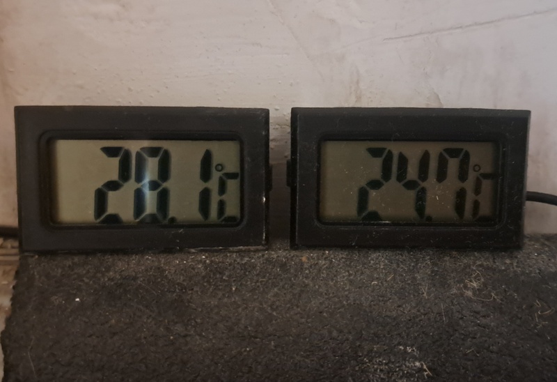 Afbeeldingslocatie: https://tweakers.net/i/VeBD0wVMM8NqUNb6kjFNb82uh3w=/800x/filters:strip_icc():strip_exif()/f/image/b34MirTSaMkmh4t6hAxEYgIr.jpg?f=fotoalbum_large