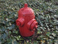 Cameravergelijking - 2x zoom