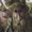 avatar van TheTreeWalker