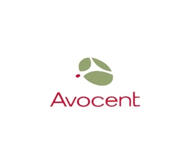 Avocent RJ-45F to DB-9F straight-thru adapter