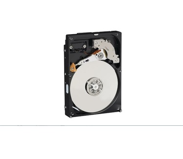 WD AV WD1600AVJS, 160GB