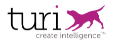 Turi logo