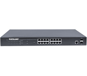 Intellinet 561341