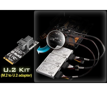 ASRock U.2 Kit (M.2 to U.2)
