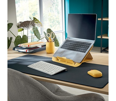 Leitz Cosy