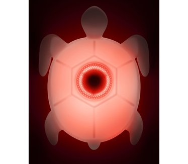 Bigben Interactive BTLSTURTLE