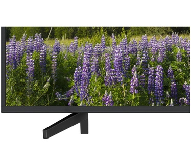 Sony KD-65XF7004 Zwart