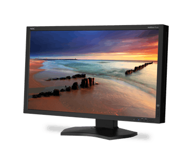 NEC Multisync P232W
