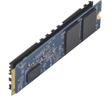 Patriot Viper VP4100 1TB