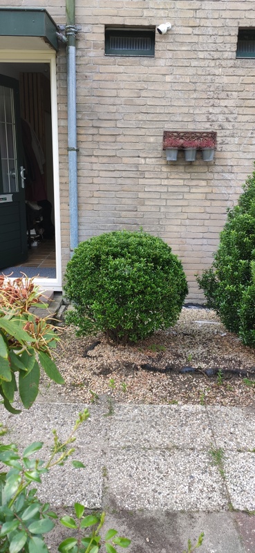 Afbeeldingslocatie: https://tweakers.net/i/VvXh9NmKMjZAg-42FDS3ZUqYoH0=/x800/filters:strip_icc():strip_exif()/f/image/WCzgO8cm6cMFE241PRxIyW23.jpg?f=fotoalbum_large