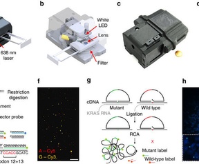 Dna-analyse via smartphone-setup