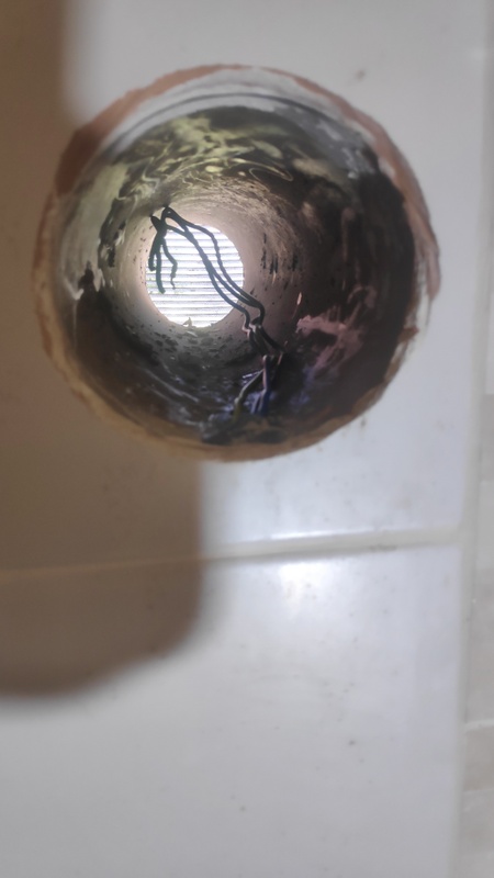 Afbeeldingslocatie: https://tweakers.net/i/VyfL7s1_3zC6mz435TfMxVqhImQ=/x800/filters:strip_icc():strip_exif()/f/image/RdWPlYHB6oZ5Q1a4aN7vzAkg.jpg?f=fotoalbum_large