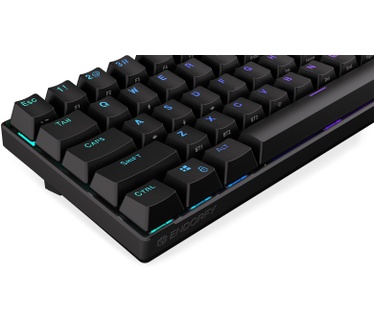 ENDORFY Thock Compact