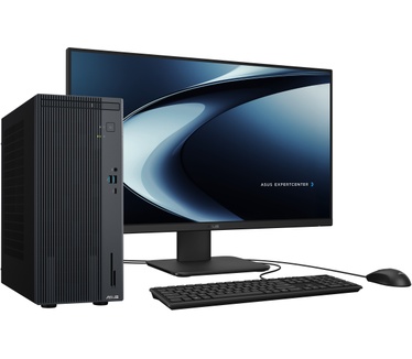 ASUS P500MV-13420H275X