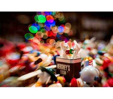 Lensbaby Composer Pro II with Sweet 35 Optic