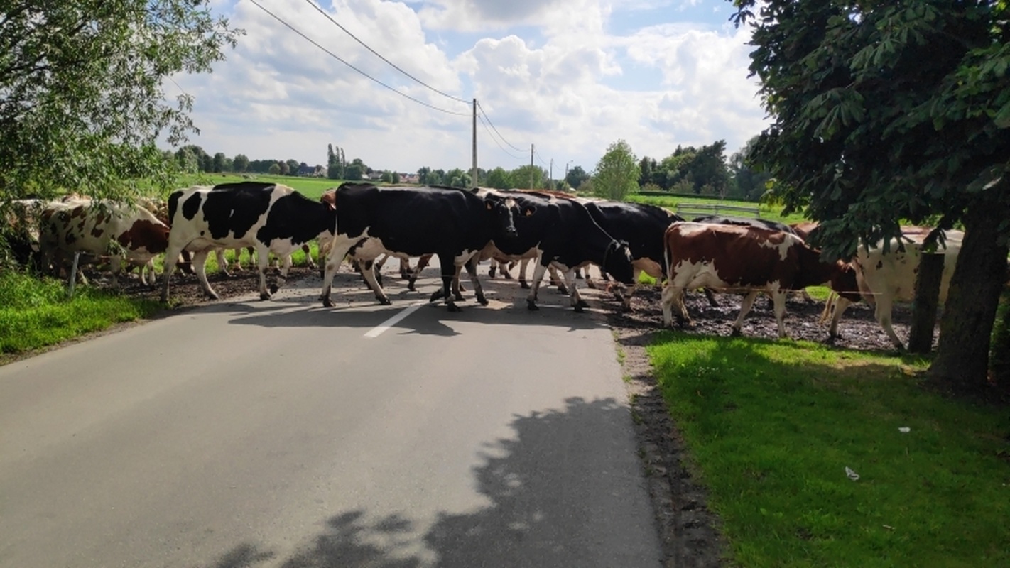 Afbeeldingslocatie: https://tweakers.net/i/W2DVXnDpMdA5ILQnUtN3m9E0Cxs=/full-fit-in/4920x3264/filters:max_bytes(3145728):no_upscale():strip_icc():fill(white):strip_exif()/f/image/GUxSU6abgF4BJVpdVT59yYkP.jpg?f=user_large