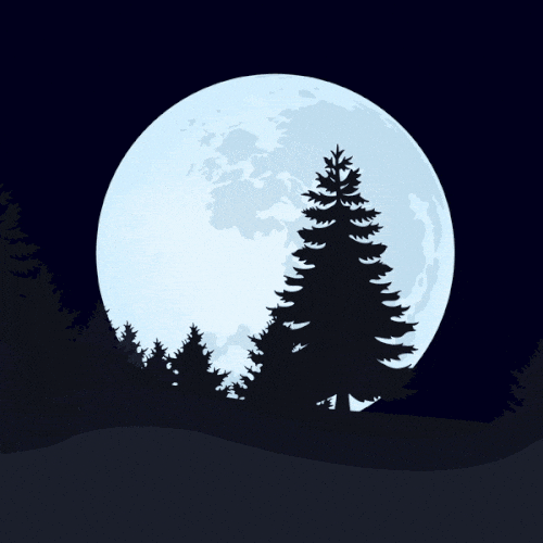 Afbeeldingslocatie: https://tweakers.net/i/W302luP7y1FaoelNT3YYCUXXbLs=/fit-in/4000x4000/filters:no_upscale():gifsicle():strip_exif()/f/image/GGt9mxkaJlCeDUoCjK6ol0yH.gif?f=user_large