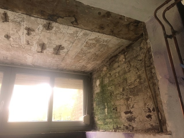 Afbeeldingslocatie: https://tweakers.net/i/W4aGlqx8lj2-ueKj93f9n4Q8ovM=/full-fit-in/4920x3264/filters:max_bytes(3145728):no_upscale():strip_icc():fill(white):strip_exif()/f/image/57cN5hI2BAxma29wZjLeSNcF.jpg?f=user_large