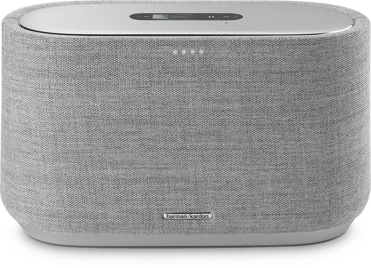 Harman Kardon Citation 300 (grijs) roeru117