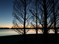 OnePlus 15 cameratest - Primair nachtmodus