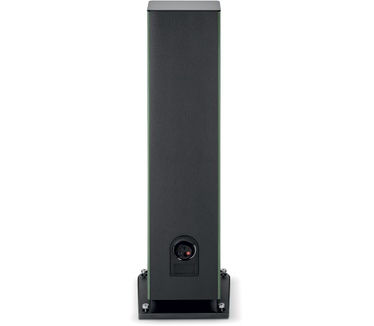 Focal Aria Evo X N°4 - Groen