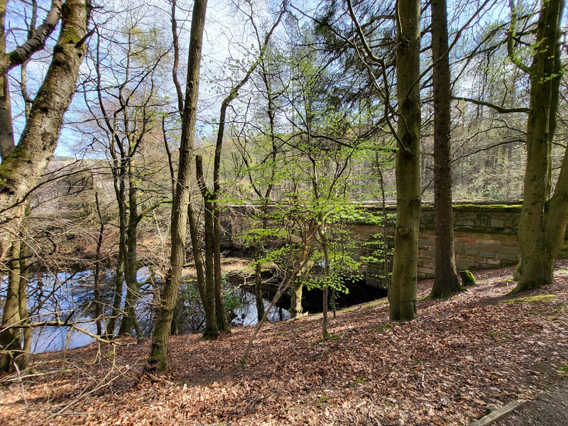 Afbeeldingslocatie: https://tweakers.net/i/W7neaPCwsUlMXs8bQ9_5K6A_HBo=/800x/filters:strip_exif()/f/image/9PF4IpvMVsPCxBNIPRgxkDVz.png?f=fotoalbum_large