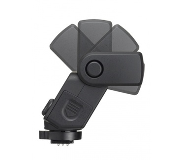 Ricoh AF201 FG