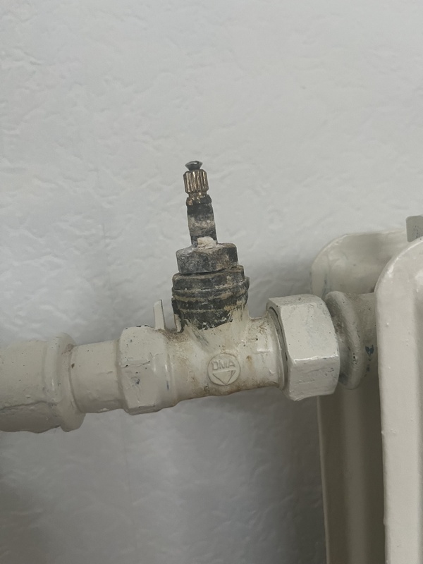 Afbeeldingslocatie: https://tweakers.net/i/WC9E6wi7XInDjqJpcUaqBtDEEm4=/x800/filters:strip_icc():strip_exif()/f/image/dyIUaaHhN7qo4LWjZD0r5I7e.jpg?f=fotoalbum_large