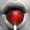 avatar van ollipop