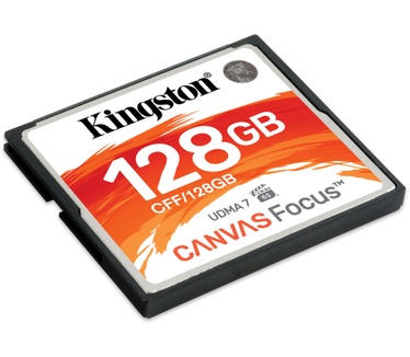 Kingston Canvas Focus
